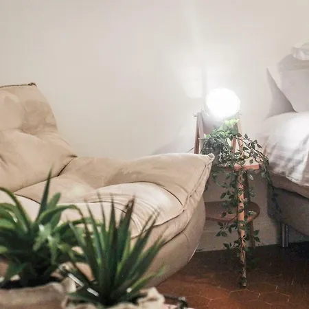 Quality Price ! - - 350m Palais And Croisette