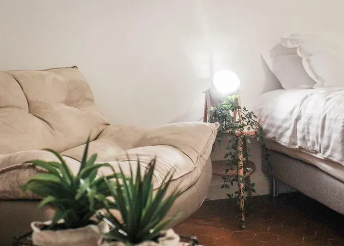 Quality Price ! - - 350m Palais And Croisette